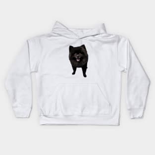 Pomeranian Black Beauty Kids Hoodie